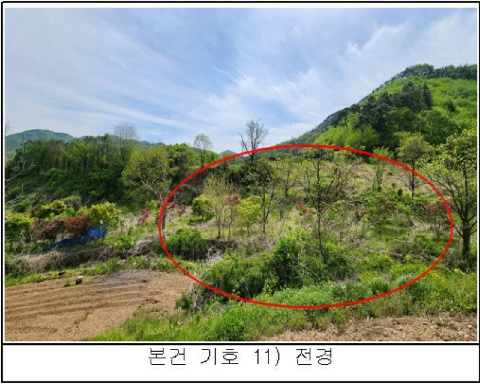충청북도 옥천군 청성면 양저리 342