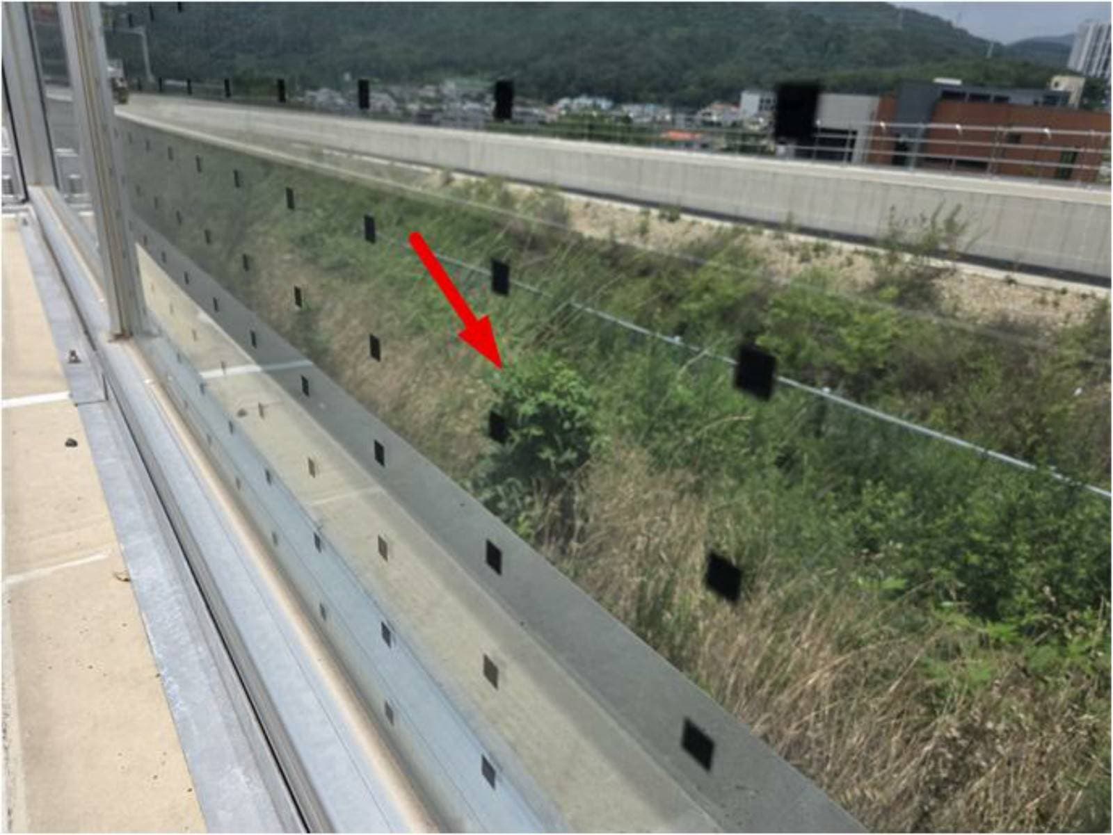 경상남도 양산시 동면 사송리 975-3