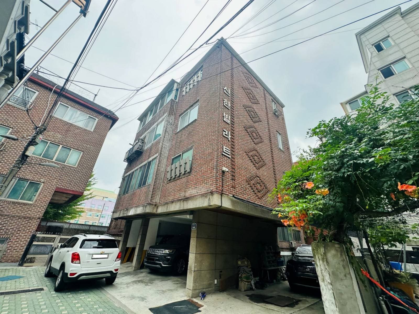 서울특별시 중랑구 면목동 180-6 제지하층 제비02호