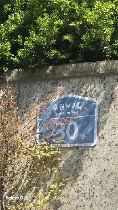 서울특별시 중구 남대문로5가 827 남산트라팰리스  3층303호