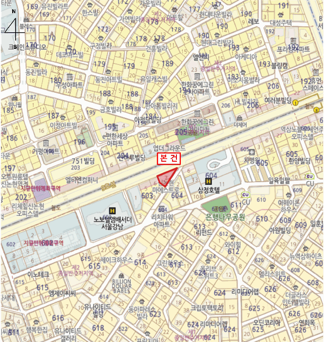 서울특별시 강남구 역삼동 603-7 신논현마에스트로  2층202호 외 1개 호