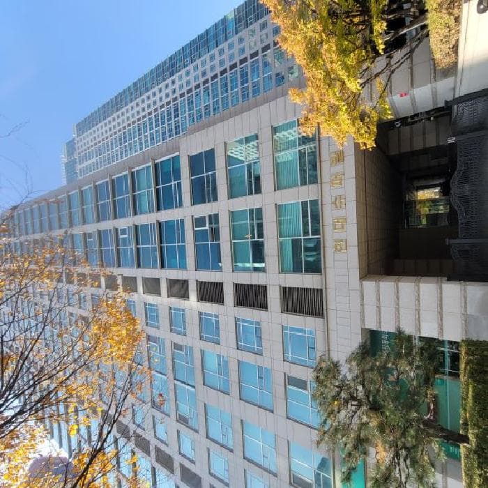 서울특별시 서초구 서초동 1446-11 현대슈퍼빌  11층디-1101호