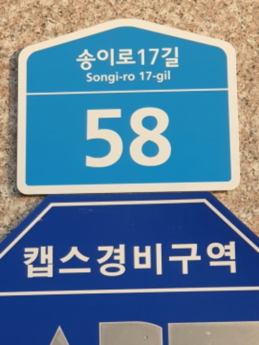 서울특별시 송파구 송이로17길 58, 비동 3층 303호 (가락동,이든하우스)