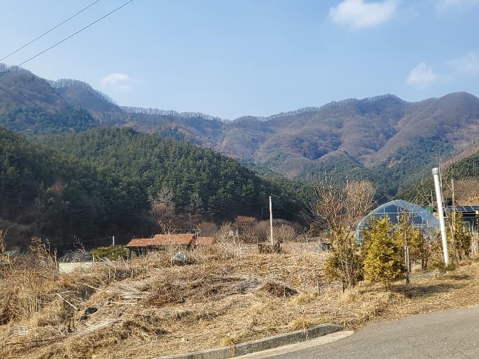 경기도 포천시 관인면 사정리 산540 외 12 필지