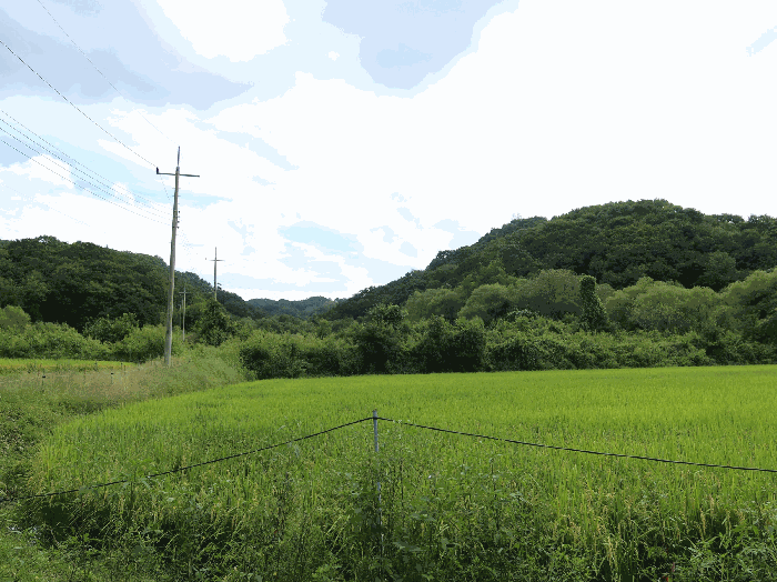 경기도 연천군 신서면 마전리 904