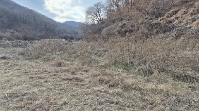 강원특별자치도 철원군 철원읍 화지리 342 외 2 필지
