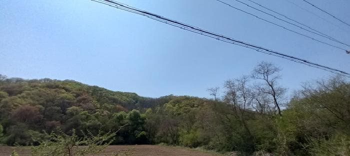 경기도 연천군 신서면 마전리 산204 외 1 필지
