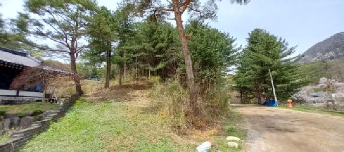 경기도 포천시 영북면 산정리 291-2 외 1 필지