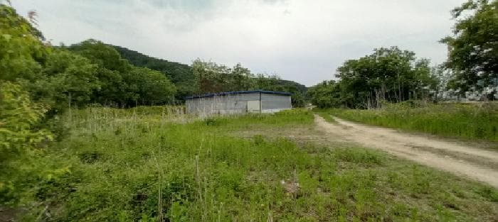 경기도 포천시 화현면 지현리 197-5 외 3 필지