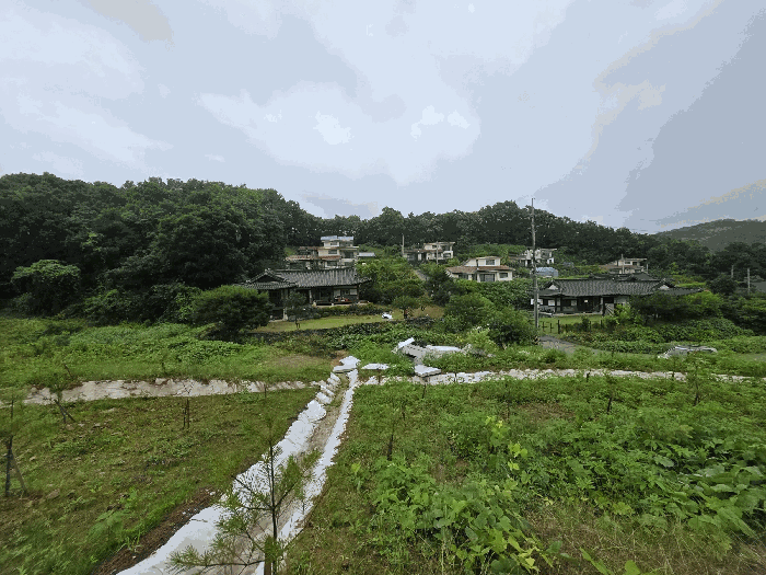 경기도 연천군 백학면 통구리 산149-1 외 8 필지