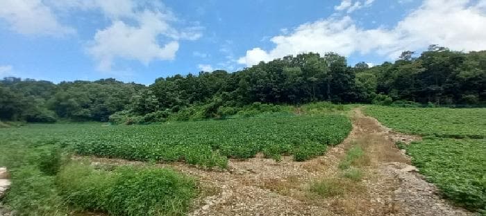 경기도 연천군 중면 횡산리 산189 외 4 필지