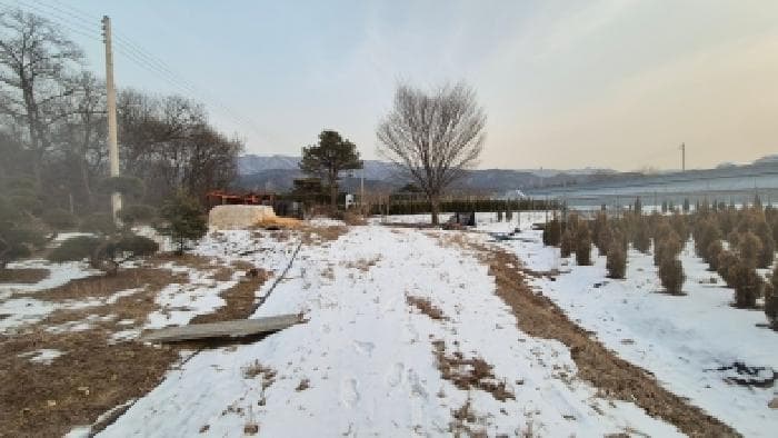 경기도 포천시 일동면 사직리 762