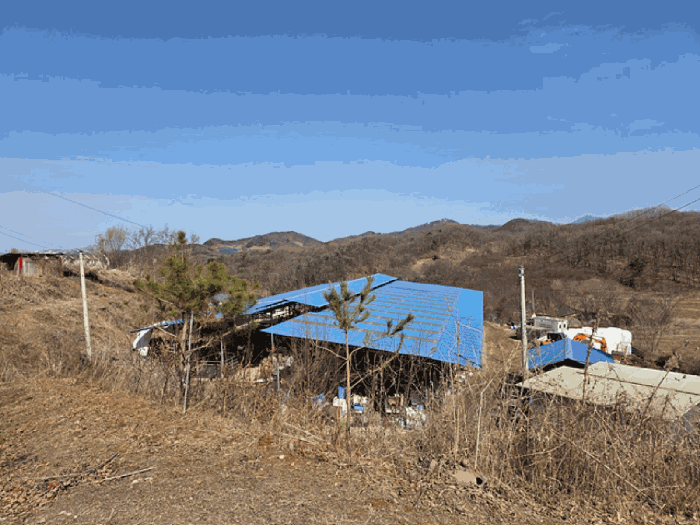 경기도 연천군 군남면 진상리 159-2 1호동 외 5 필지