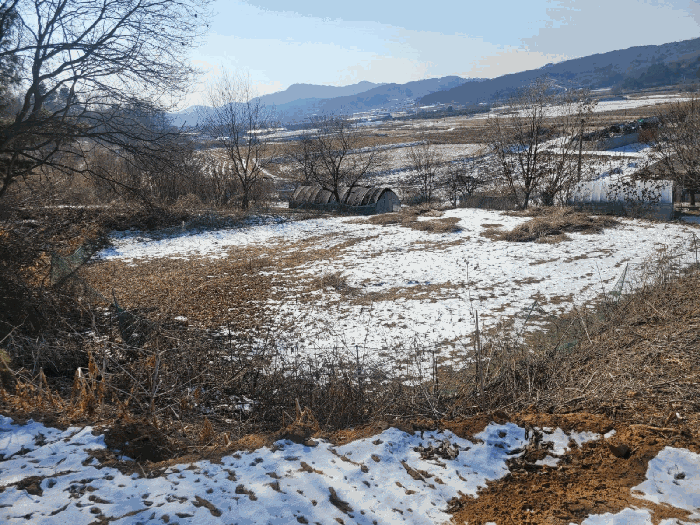 경기도 연천군 연천읍 옥산리 산40-1