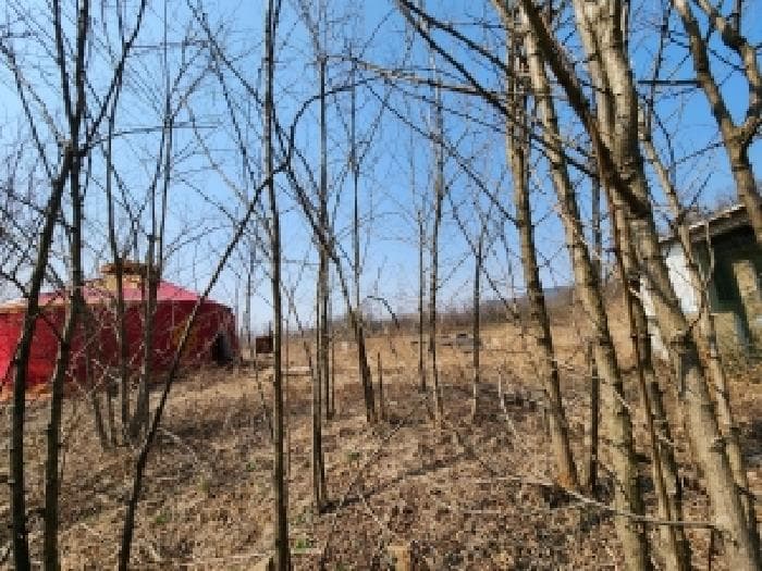경기도 양주시 봉양동 산13-10 외 16 필지