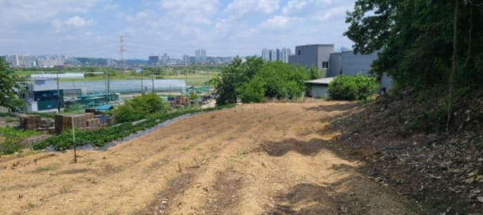 경기도 파주시 하지석동 157-3 외 8 필지