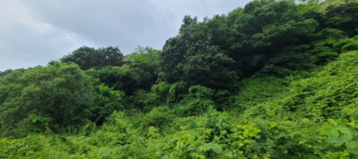 경기도 파주시 문산읍 이천리 289-16 외 1 필지
