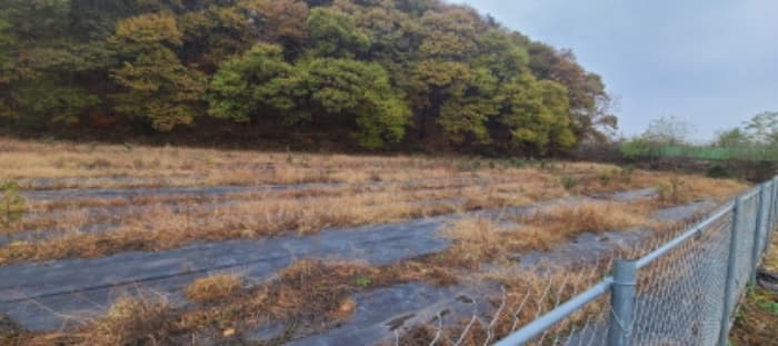 경기도 파주시 문산읍 칠정말길 14-70