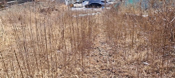 경기도 파주시 파주읍 파주리 205-8 외 2 필지