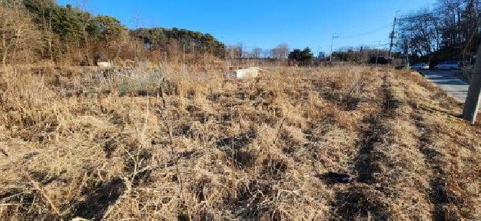 경기도 파주시 문산읍 율곡로123번길 10