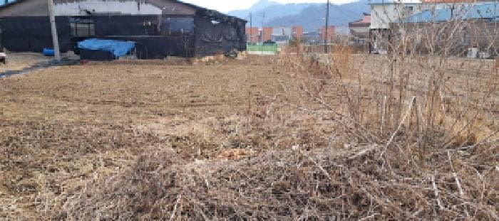 경기도 파주시 파평면 금파리 398-31 외 1 필지