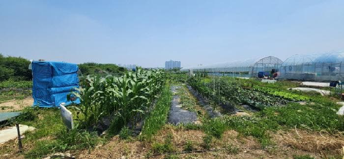 경기도 고양시 일산서구 대화동 178-2
