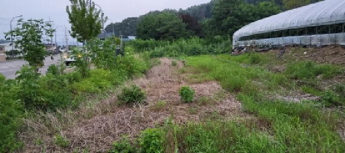 경기도 파주시 적성면 구읍리 456-5