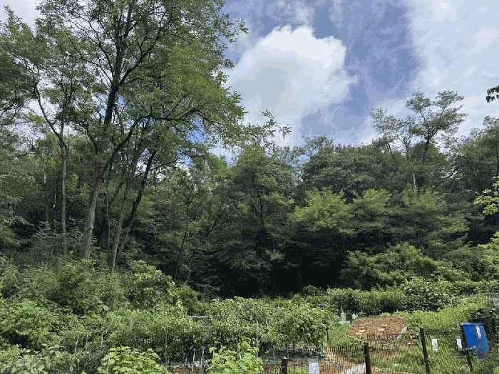 경기도 고양시 덕양구 덕은동 387-4