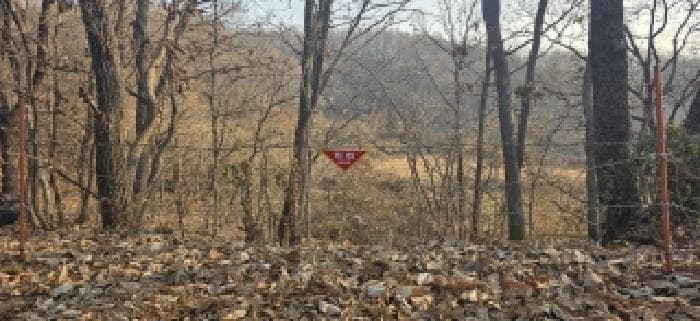 경기도 파주시 장단면 거곡리 산115