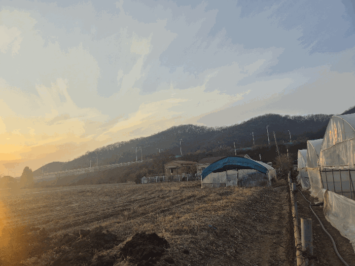 경기도 파주시 적성면 장현리 387 외 1 필지