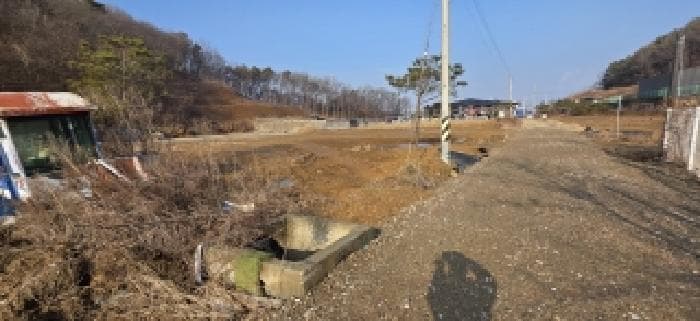 경기도 파주시 탄현면 낙하리 309