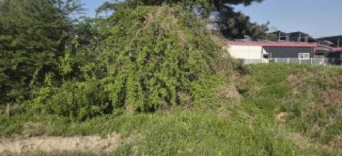 경기도 고양시 일산서구 구산동 1580