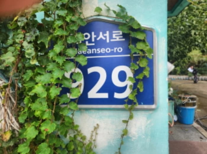 인천광역시 강화군 내가면 외포리 681-10 외 2 필지
