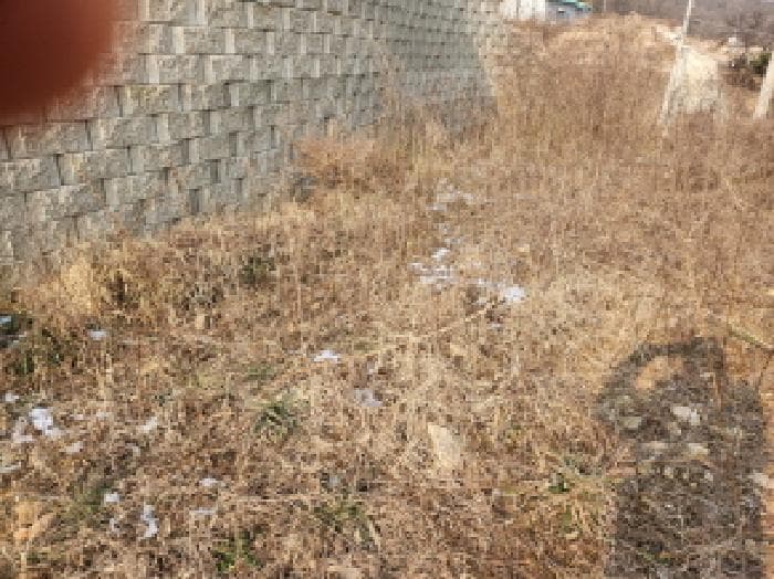인천광역시 강화군 삼산면 매음리 939-1 외 5 필지