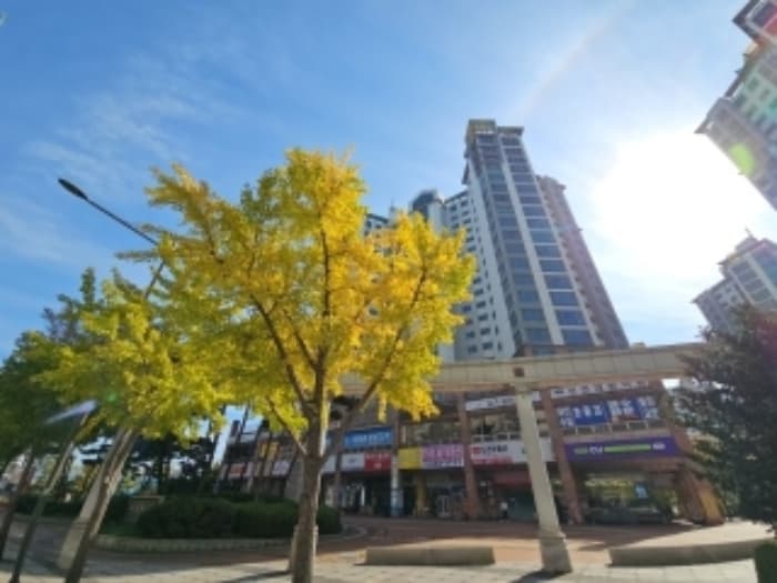 인천광역시 계양구 아나지로 332, 102동 2층206호 (작전동,계양 우림카이저팰리스 1단지)