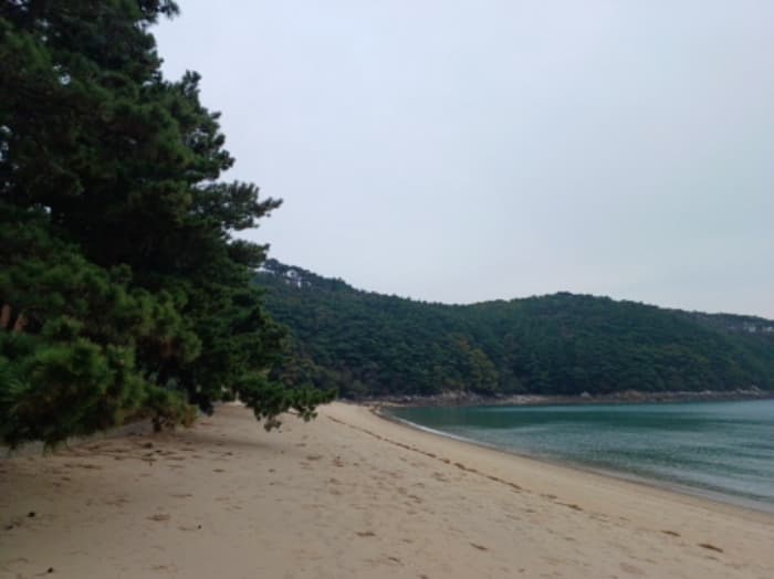 인천광역시 옹진군 덕적면 진리 산61 외 5 필지