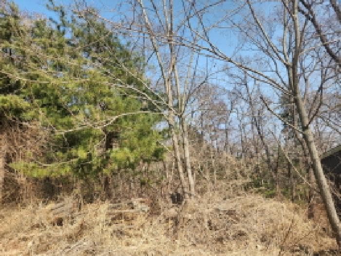 인천광역시 강화군 내가면 오상리 산69