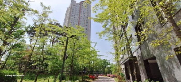 인천광역시 서구 청라동 156-1 청라센트럴에일린의뜰 에이동 24층2405호