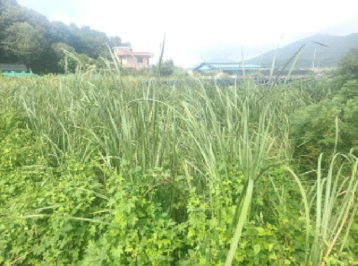인천광역시 강화군 하점면 부근리 34