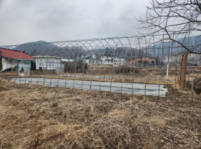 인천광역시 강화군 선원면 선행리 59-1
