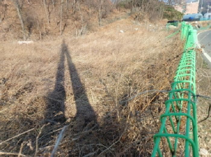 인천광역시 옹진군 영흥면 외리 366-1 외 3 필지