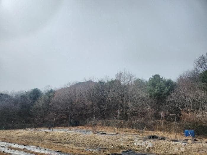 인천광역시 강화군 양사면 철산리 90-26