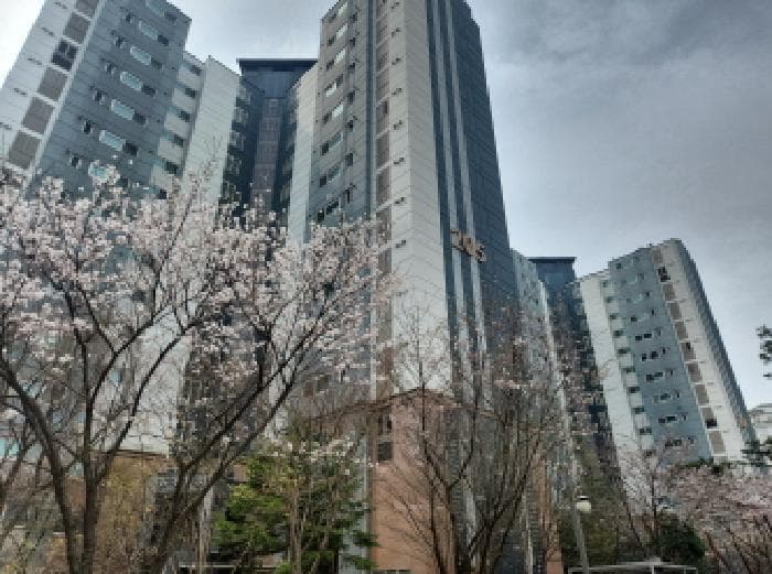 인천광역시 서구 왕길동 696-1 검단자이2단지 205동 15층1503호