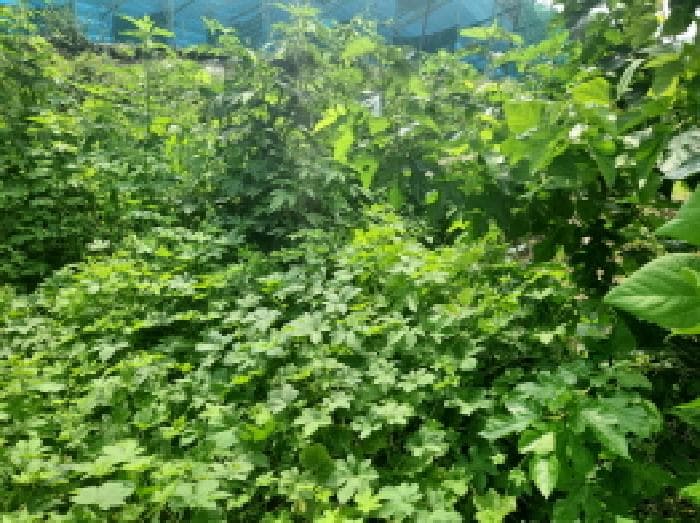 인천광역시 강화군 길상면 선두리 1053