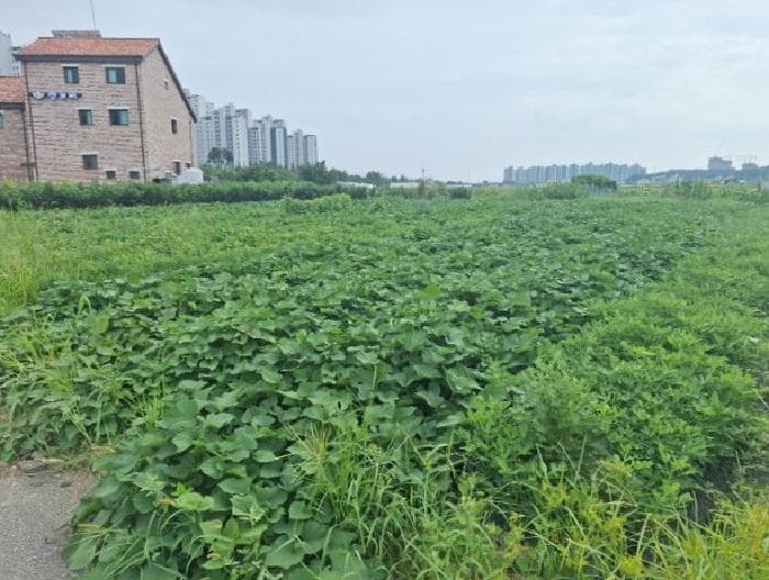 인천광역시 중구 중산동 766-34 외 3 필지
