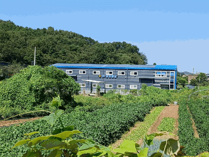 경기도 김포시 통진읍 고정리 774 가동 외 1 필지