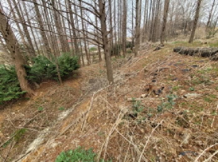 경기도 김포시 통진읍 귀전리 270