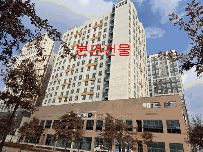 경기도 김포시 구래동 6878-7 중일라크리움  8층809호