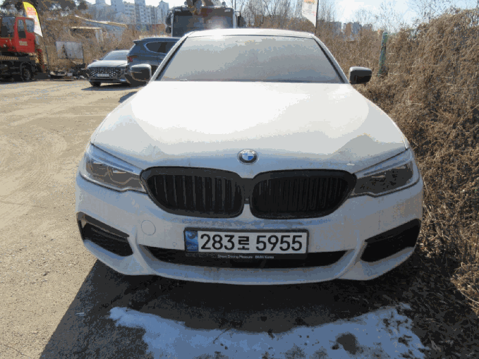 BMW AG 독일 BMW 520d 2018년식