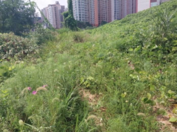 경기도 용인시 수지구 동천동 402-7